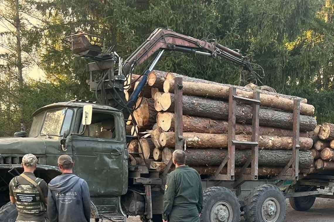 Майже 20 кубометрів лісу без належних документів: у Коростенському районі зупинили УРАЛ з колодами