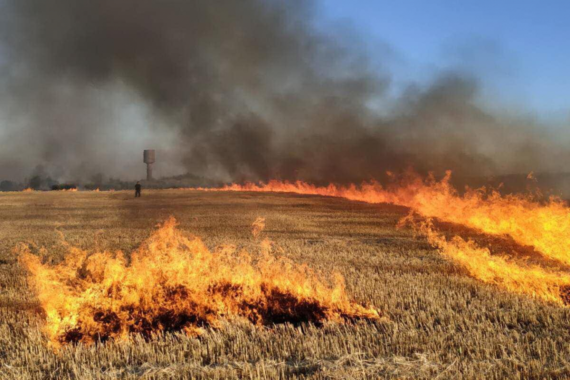 Жительці одного з сіл Овруччини доведеться заплатити штраф за спалювання стерні