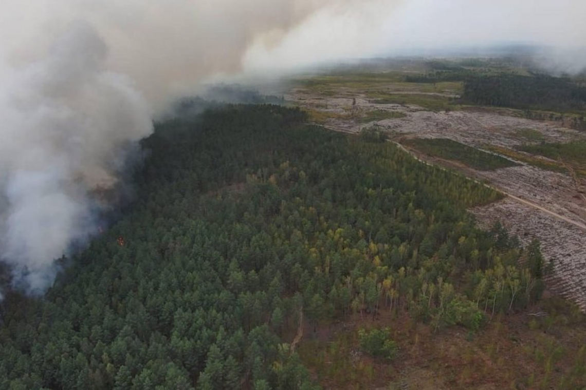 У заповіднику на Коростенщині розповіли про подробиці масштабної пожежі