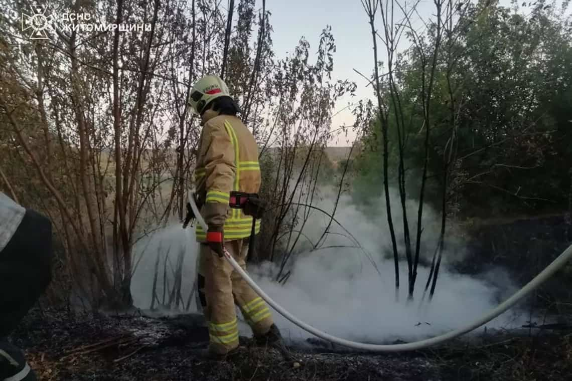 На Овруччині сталася пожежа біля залізничної колії