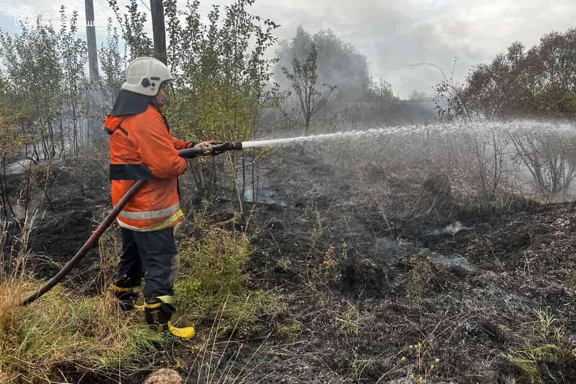 У селі на Олевщині горів сухостій: вогонь наближався до житлових будинків