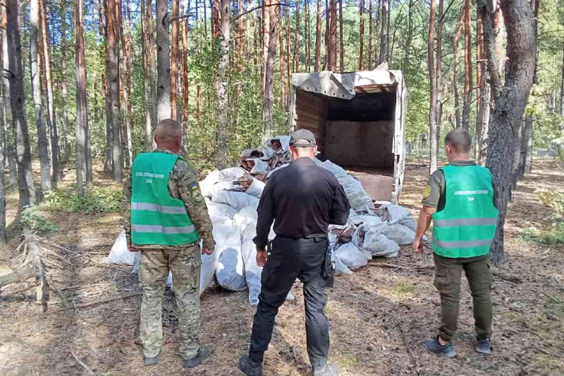 У заповіднику, який є на території Народиччини, затримали місцевих: робили незаконну заготівлю кори