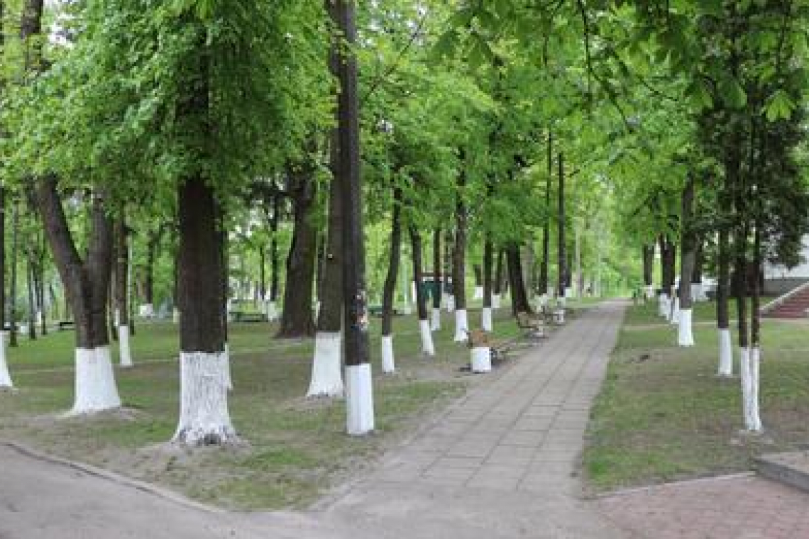 В Олевську на середину жовтня збирають громадські слухання щодо перейменування парку