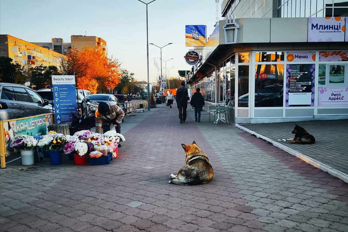 Перші вихідні в листопада “зустрінуть” коростенців з нічними морозами