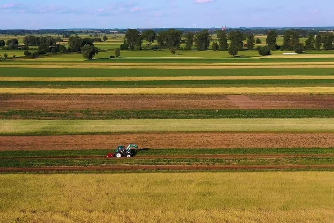 Земля в суборенду - на торги в Коростенському районі виставили чотири ділянки