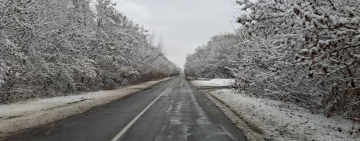 На шляхах Житомирщини 16 одиниць техніки обробляють дороги реагентами