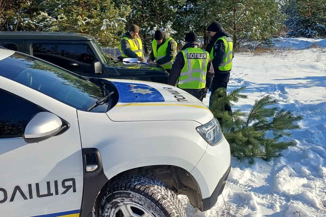 Вісім порушників незаконної заготівлі ялинок викрито під час рейдів у лісах Житомирщини та Київщини