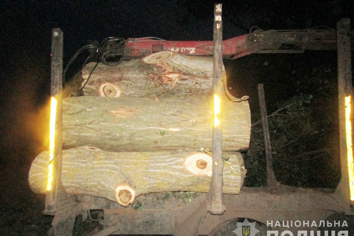 Понад пів мільйона гривень шкоди за незаконну порубку: у Житомирській області бізнесмени із Київщини та Одещини вирішили збагатитися