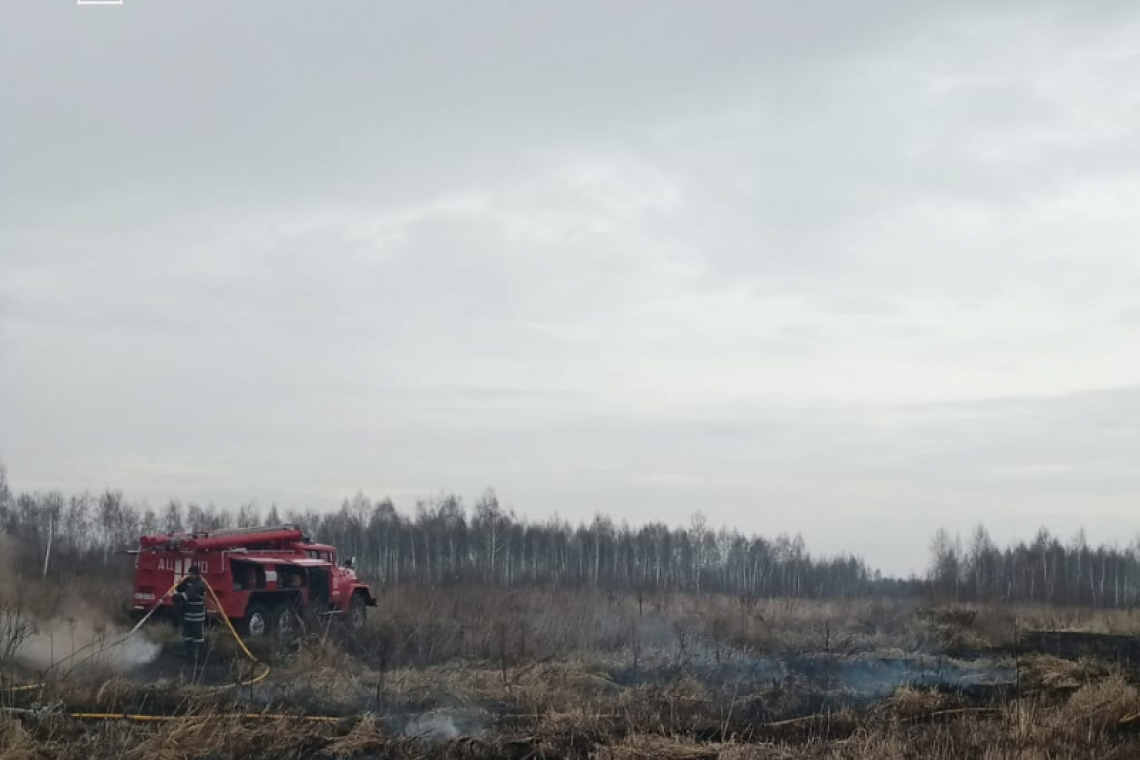 На території Лугинської громади рятувальники ліквідовували займання торфу, а в Народицькій - горів будинок