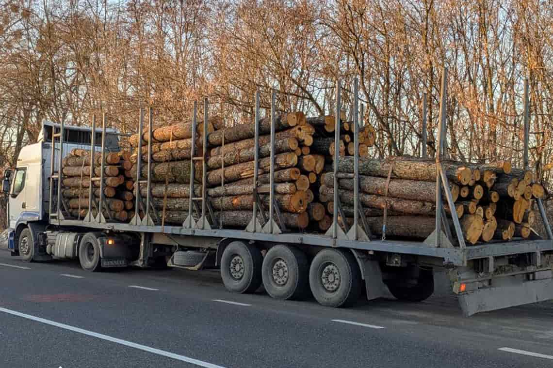 На трасі в Коростенському районі патрульні зупинили вантажівку з деревиною, водій не надав належних документів на вантаж