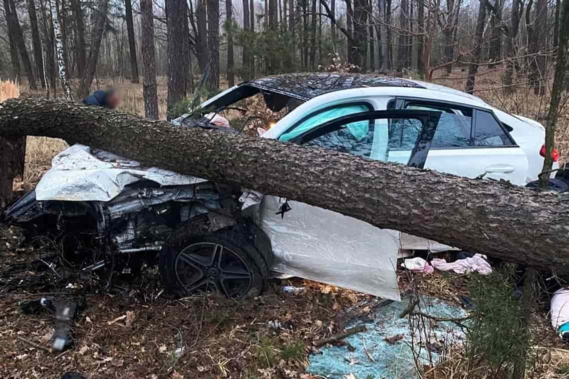 На Житомирщині Mercedes врізався в автобус, а потім в дерево: постраждали двоє дітей