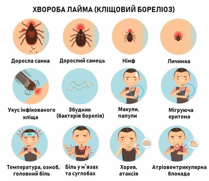 hvorlayma140725 1