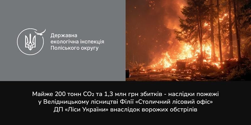 pozhehkor220925 1 min