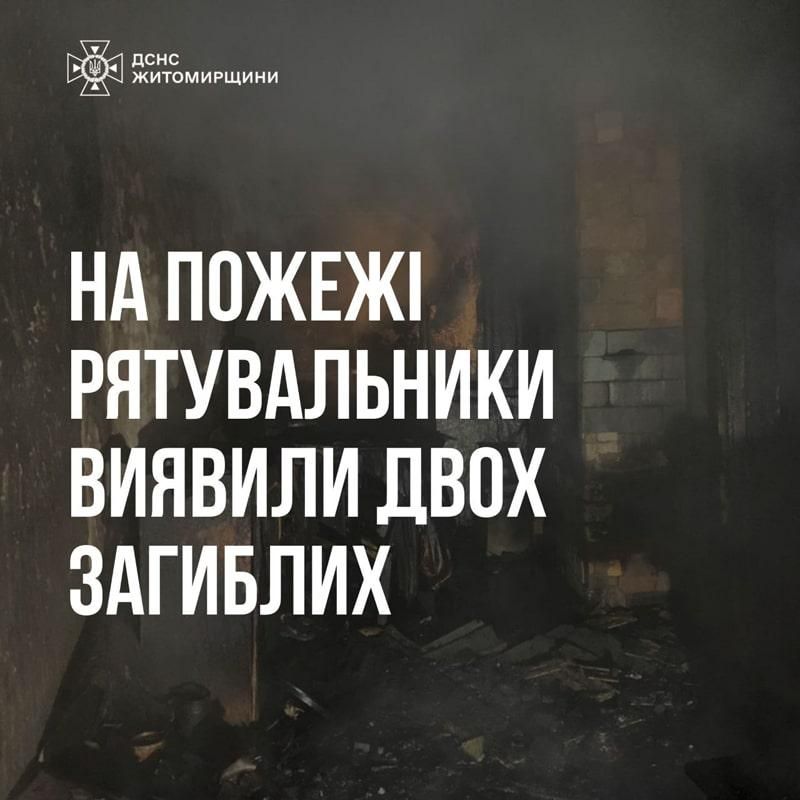 pozhkor281225 1 min
