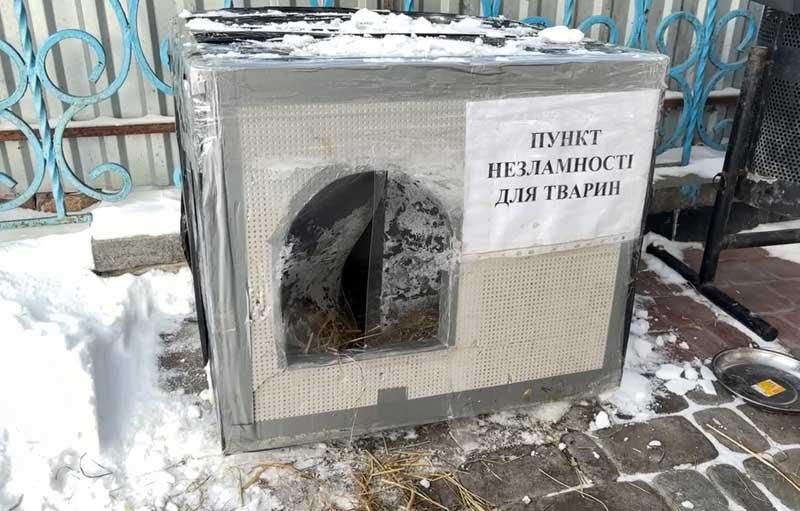 olekish220226 5