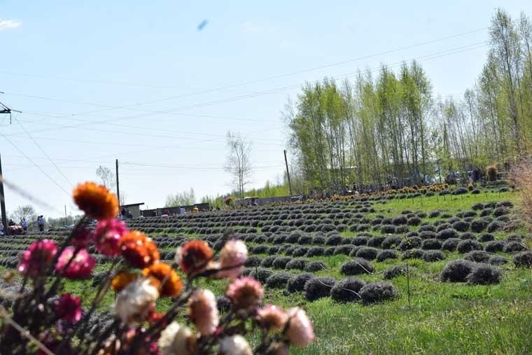 svatokk050526 4