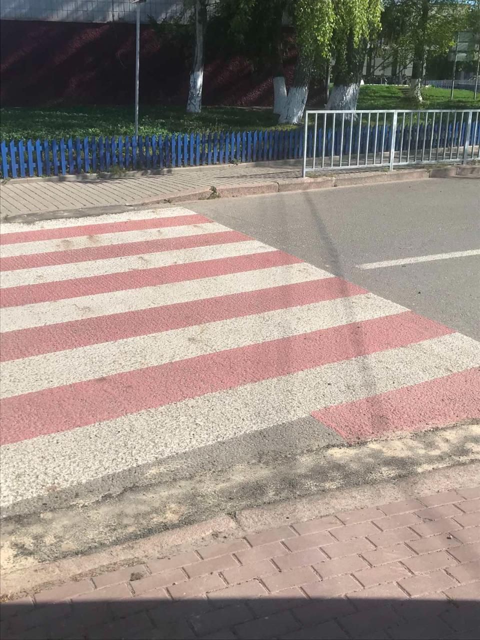 688278285 1379532540866380 7774496532266772340 n