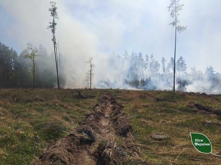 likvpozhkor110626 2