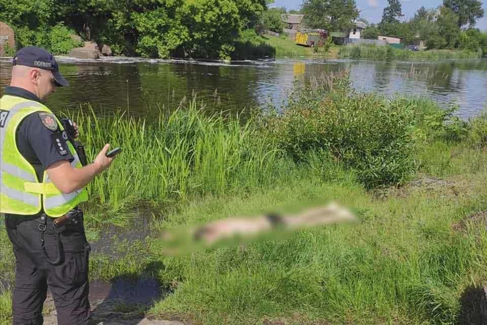 На стихійному пляжі в Коростені у воді загинув чоловік