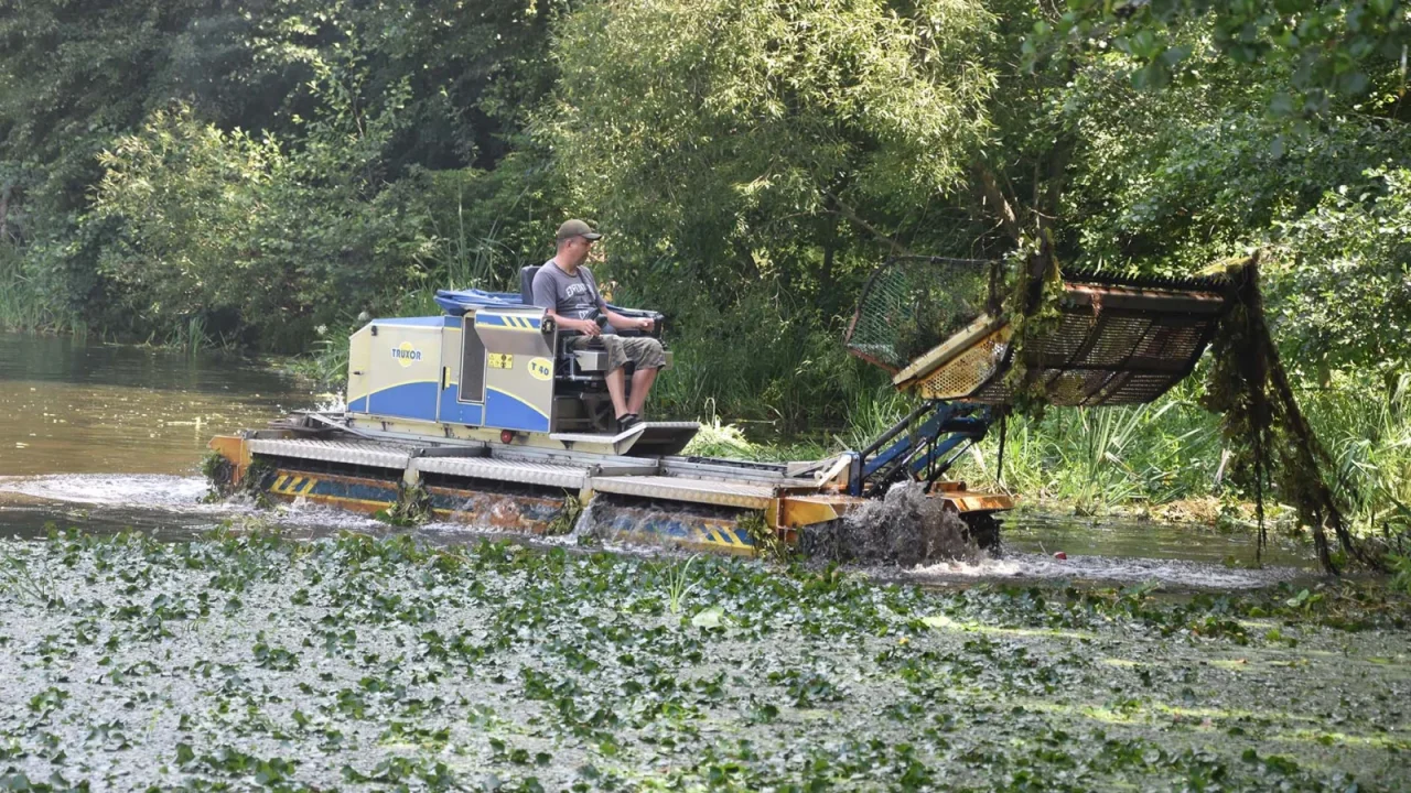 Річку Уж в Коростені почали розчищати від водоростей