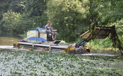 Річку Уж в Коростені почали розчищати від водоростей