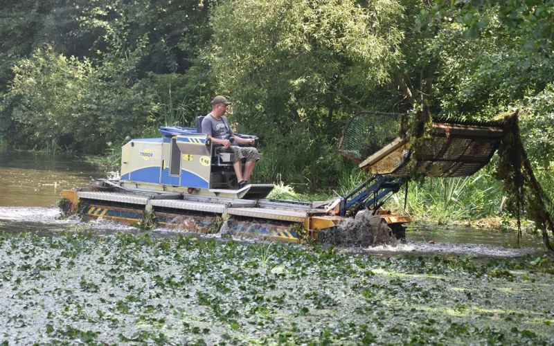 Річку Уж в Коростені почали розчищати від водоростей