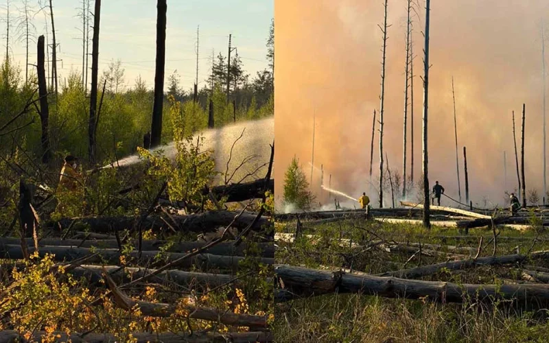 У Чорнобильській зоні гасять пожежі після падіння російських БпЛА