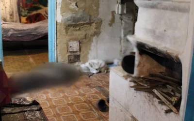 Суд у Малині виніс вирок чоловіку за смертельні удари знайомому сокирою: 8 років позбавлення волі