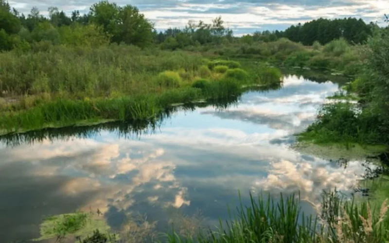 На Житомирщині критично низька водність річок: місцями в кілька разів менше за норму