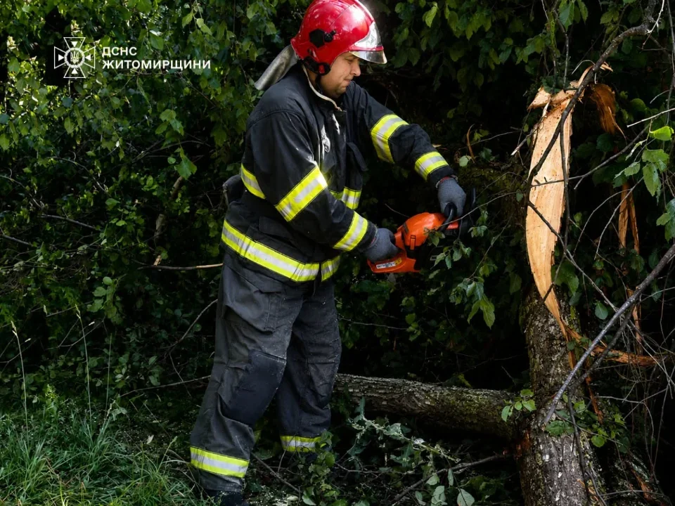 Рятувальники розповіли про ліквідацію наслідків негоди у селі Лугинської громади