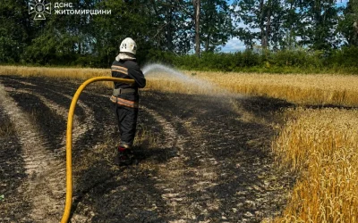 Через ворожу атаку на пшеничному полі одного з господарств у Житомирській області виникла пожежа