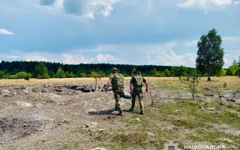 Після обстрілів рф вибухотехніки Житомирщини виявили та знищили бойову частину БпЛА