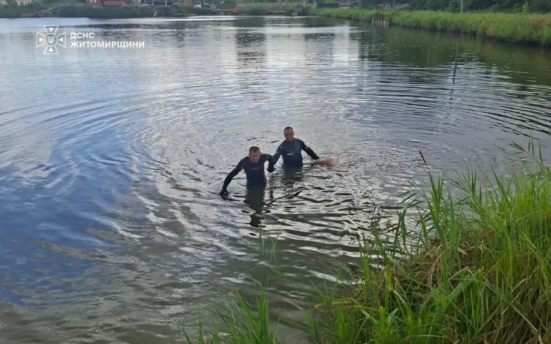 У селі Народицької громади у ставку потонув 25-річний чоловік: тіло виявили на відстані 4 м від берега