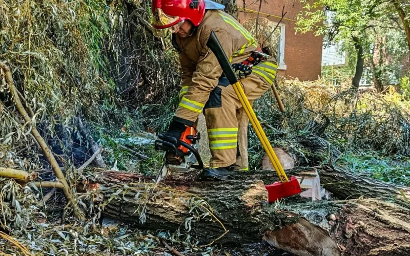 У Коростені рятувальники двічі прибирали повалені буревієм дерева з доріг