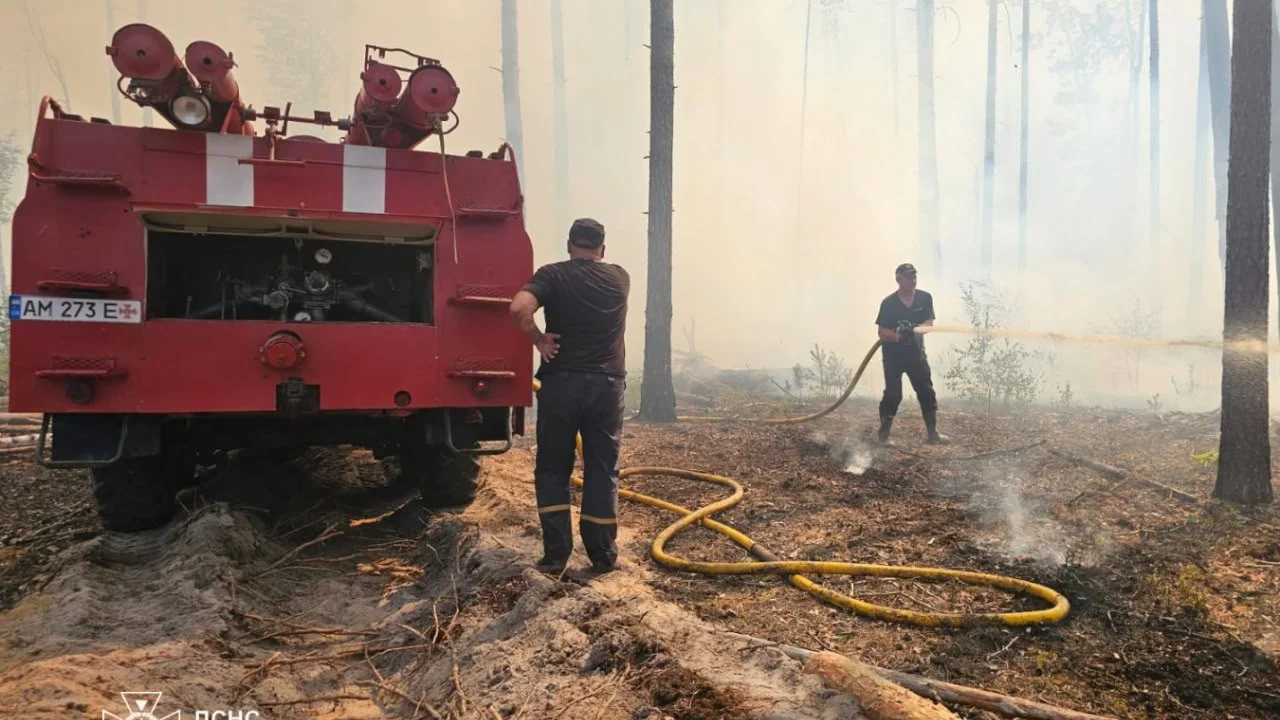 У Коростенському районі локалізували лісову пожежу, ліквідація триває