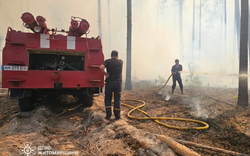 У Коростенському районі локалізували лісову пожежу, ліквідація триває