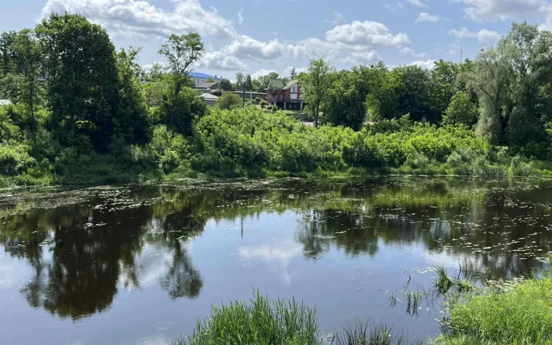 У Коростені вода на міському пляжі не пройшла чергову перевірку якості