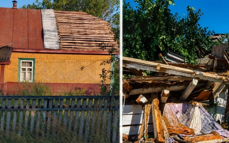 Столітні дуби були вивернуті догори корінням – жителі Лугинської громади розповіли про руйнівний буревій