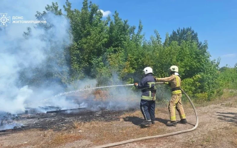 У селі Овруцької громади вогонь із сухої трави ледь не перекинувся на господарські споруди