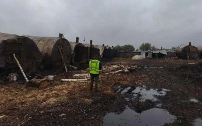 У Коростенському районі понад два роки без дозволів працювали 27 печей для випалювання деревного вугілля: справу передали до суду