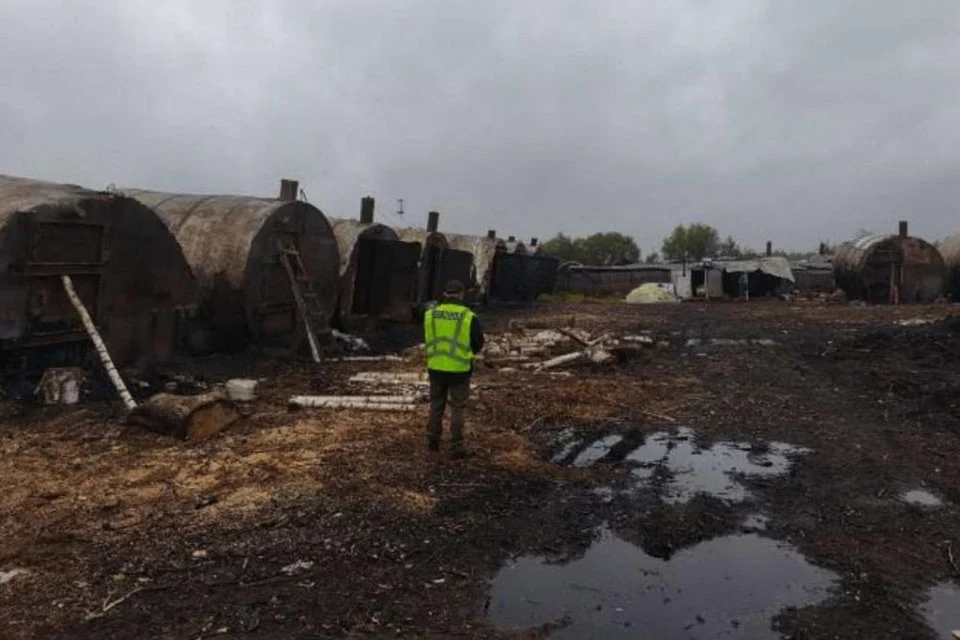 У Коростенському районі понад два роки без дозволів працювали 27 печей для випалювання деревного вугілля: справу передали до суду