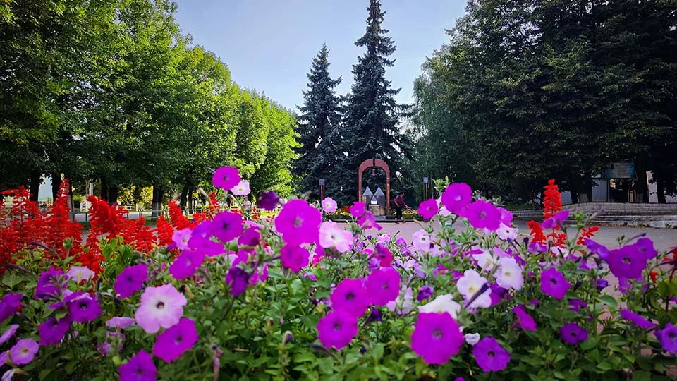 Туман, дощ та до +28°: прогноз погоди на віхідні для Коростенського району