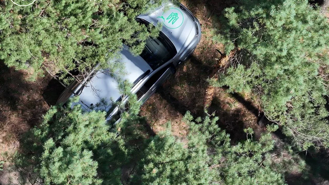 На Житомирщині за спалювання сухої рослинності та багаття у лісах виписали штрафів на понад 90 тис. грн