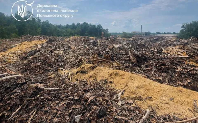Апеляційний суд зобов’язав «Ліси України» сплатити 1,5 млн грн за засмічення землі тирсою в Овруцькій громаді