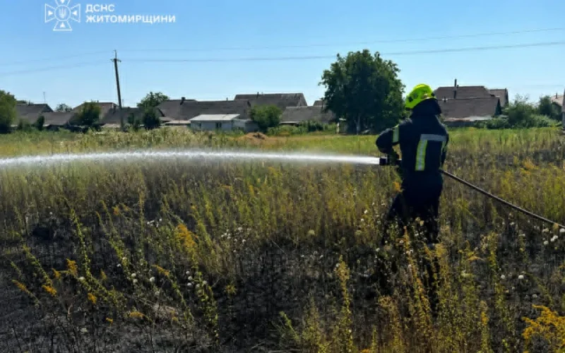 Двічі поспіль рятувальники ліквідовували займання сухої трави у селі на Малинщині
