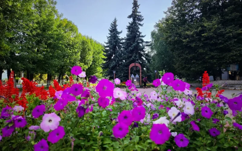У Коростенському районі на вихідних очікуються грози, зливи та шквальний вітер