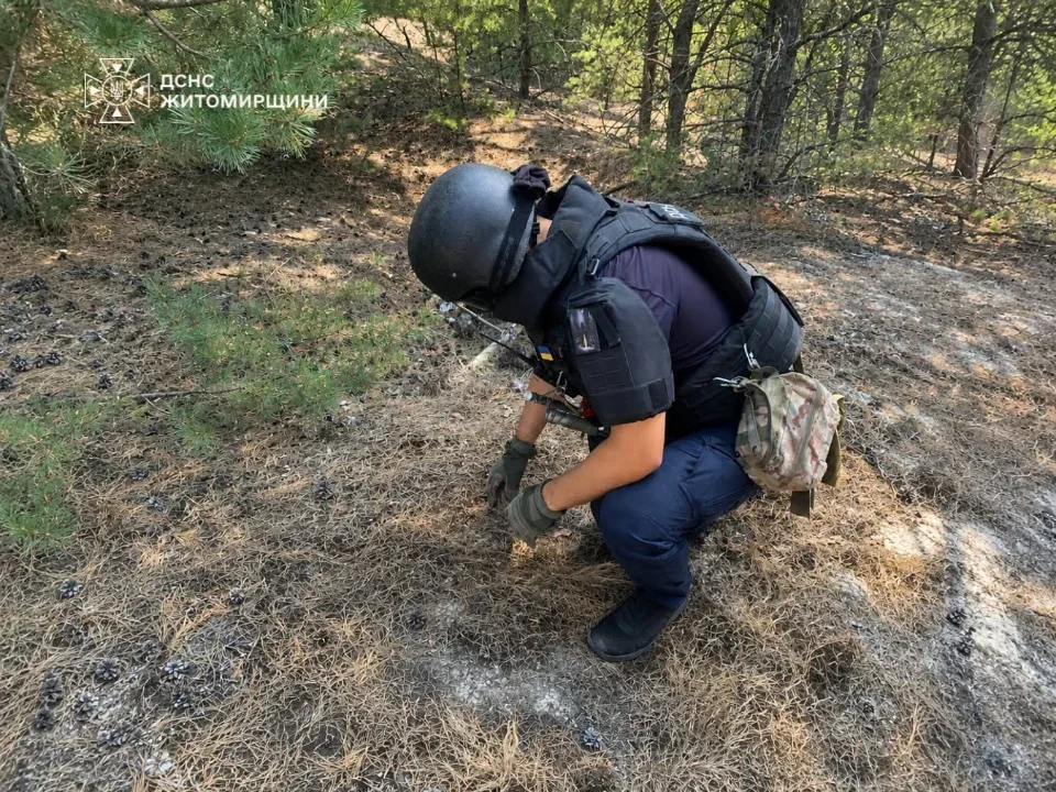 Поблизу одного з сіл Лугинської громади грибники натрапили на ручну гранату
