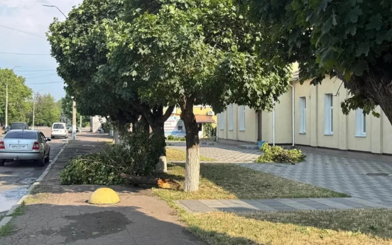 Пошкоджені покрівлі, дерева та електромережі: Малинська громада оговтується після негоди