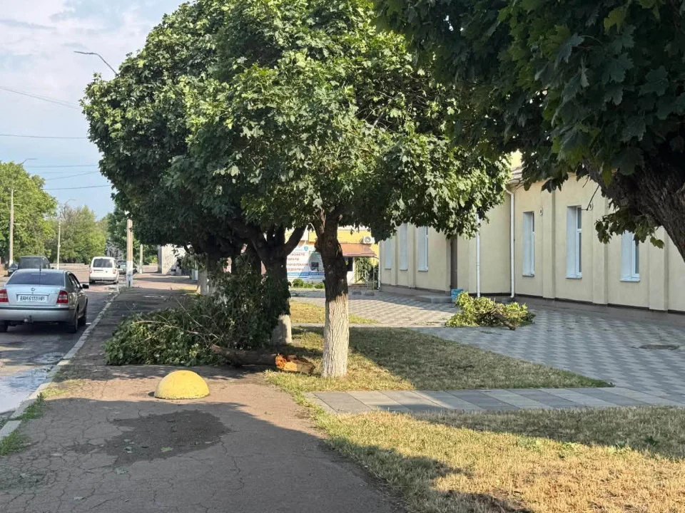 Пошкоджені покрівлі, дерева та електромережі: Малинська громада оговтується після негоди
