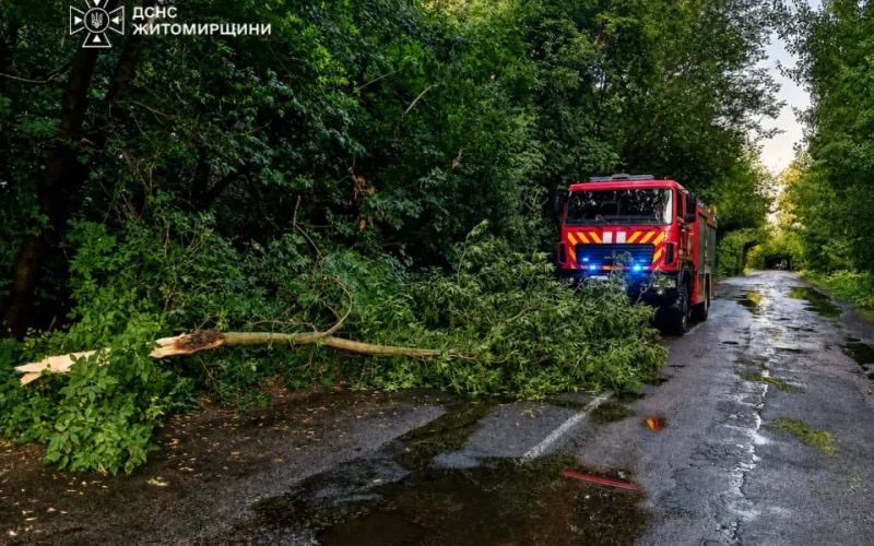 У селі Малинської громади повалене дерево заблокувало автодорогу